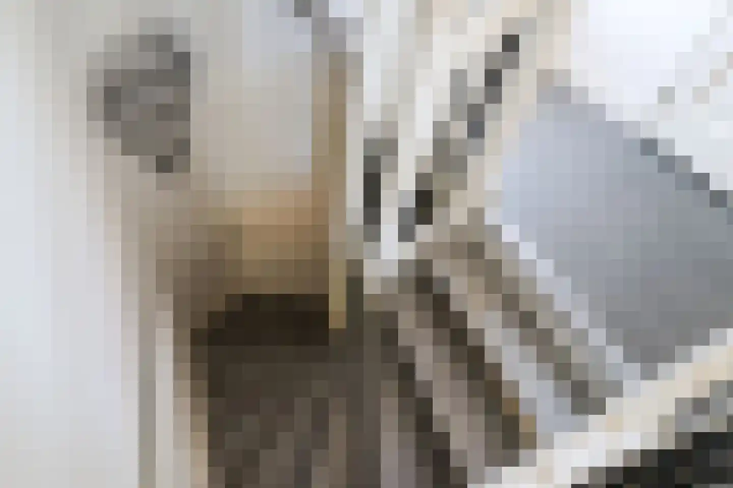 Rypsterdyk 28 Menaam thumbnail 40