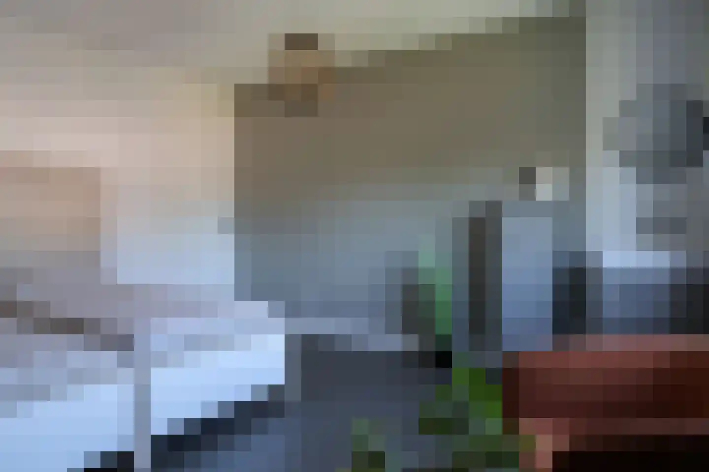 Rypsterdyk 28 Menaam thumbnail 48