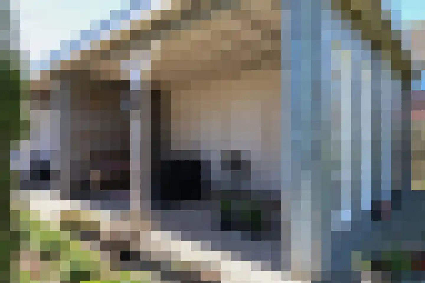 Rypsterdyk 28 Menaam thumbnail 66