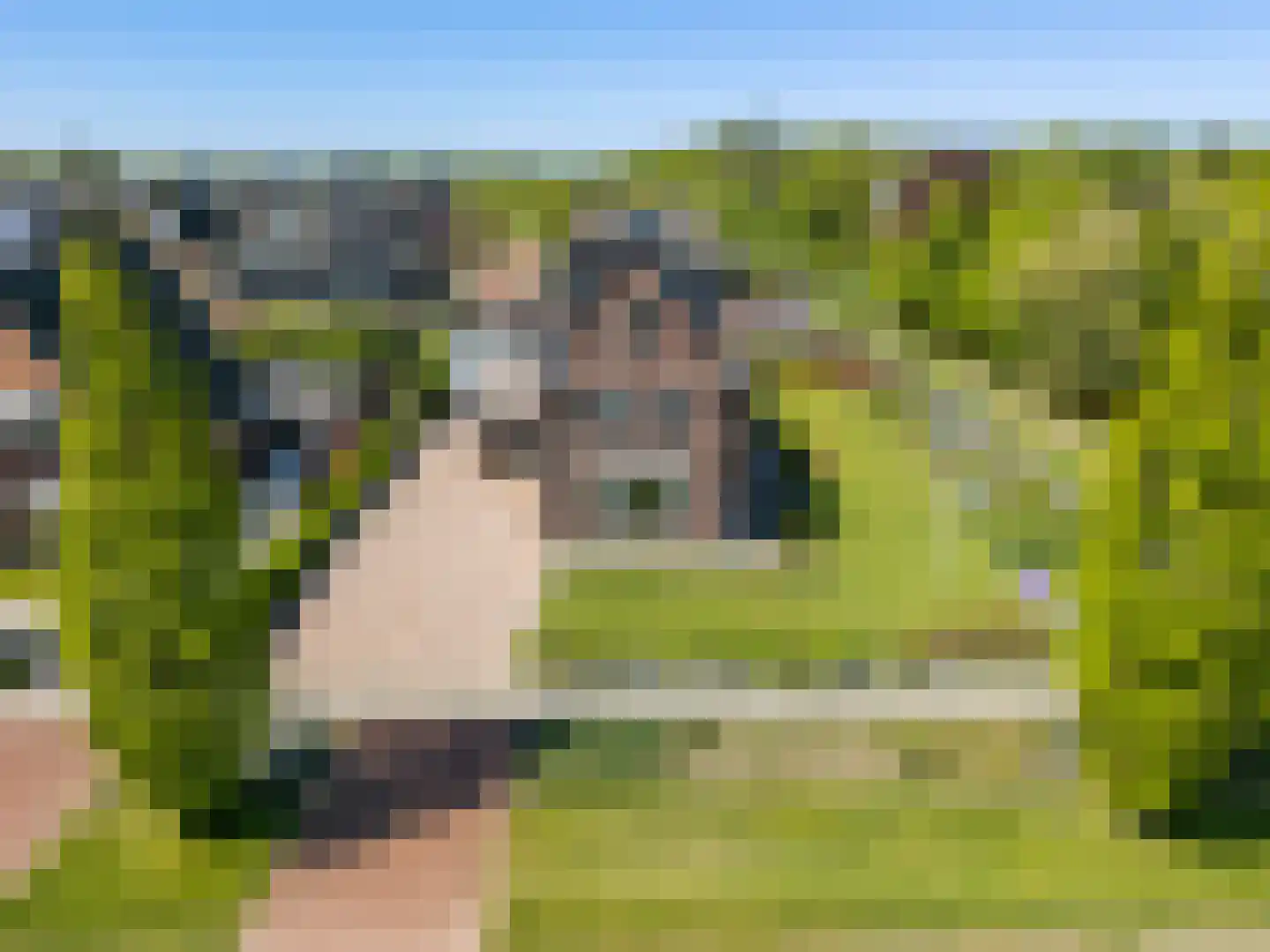 Rypsterdyk 28 Menaam thumbnail 83