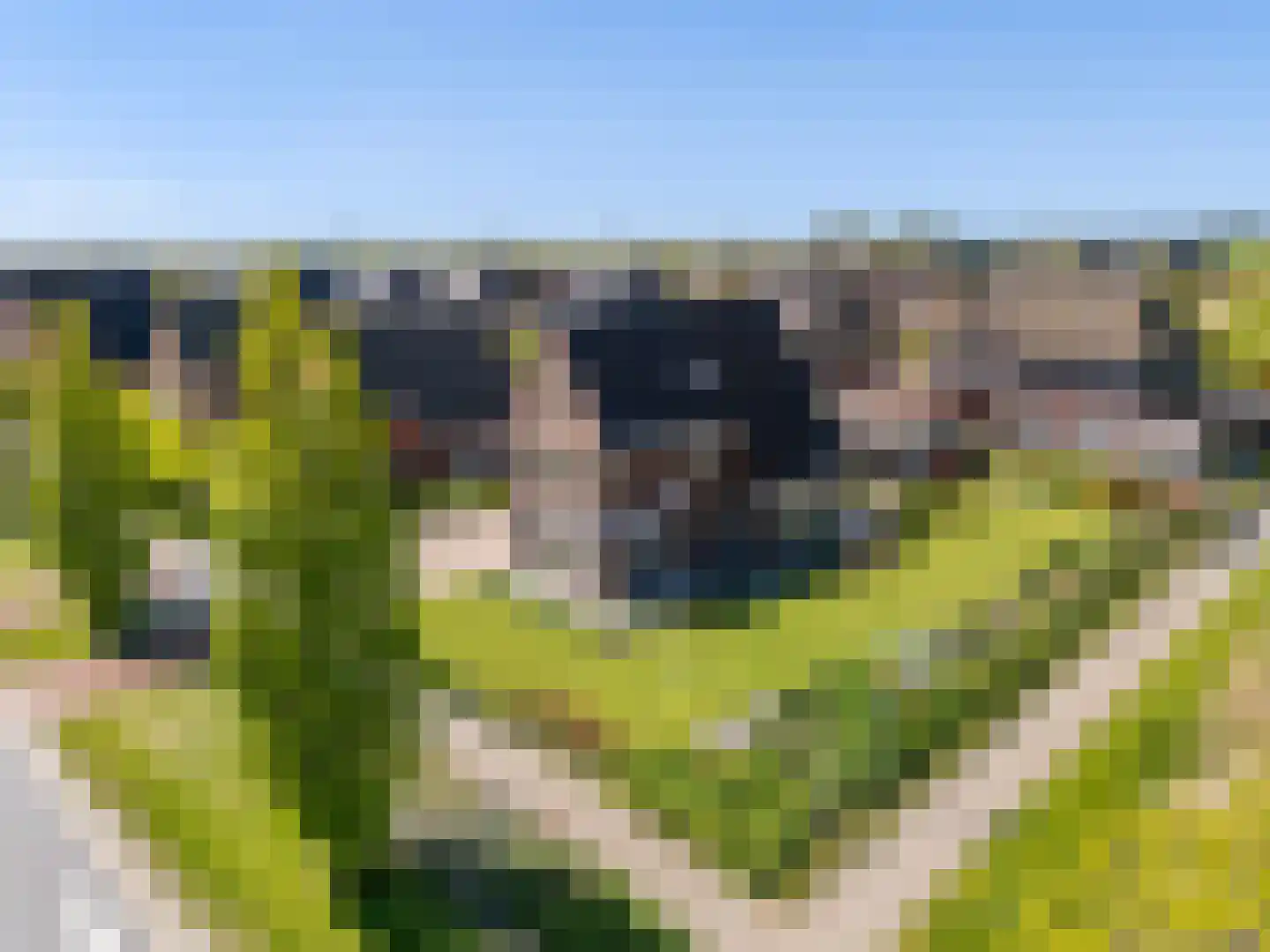 Rypsterdyk 28 Menaam thumbnail 85