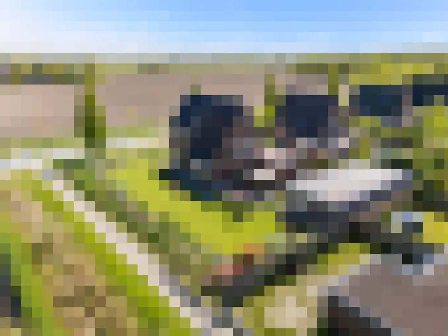 Rypsterdyk 28 Menaam thumbnail 88