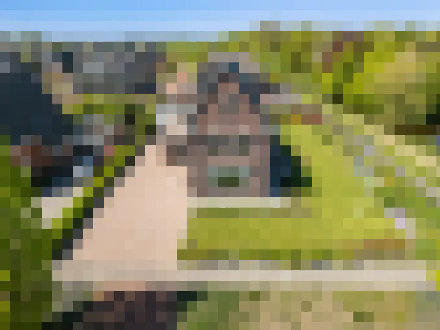 Rypsterdyk 28 Menaam thumbnail 89