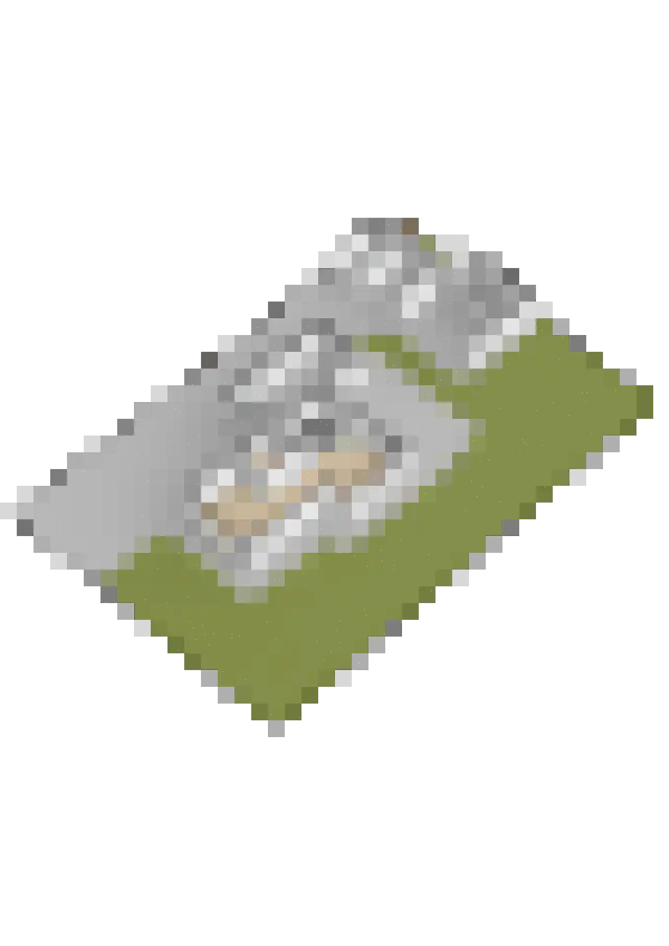 Rypsterdyk 28 Menaam thumbnail 97