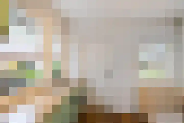 S.A. Haadsmastraat 12 Vries thumbnail 10