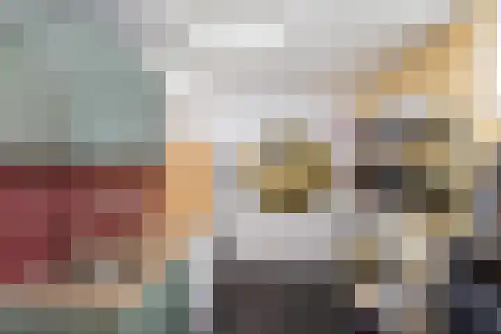 S.A. Haadsmastraat 12 Vries thumbnail 22