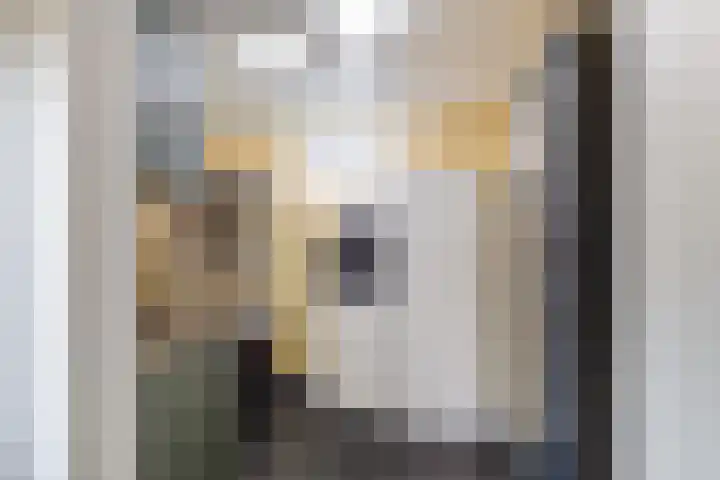S.A. Haadsmastraat 12 Vries thumbnail 23