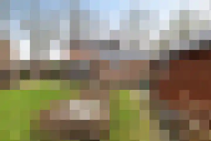 S.A. Haadsmastraat 12 Vries thumbnail 34