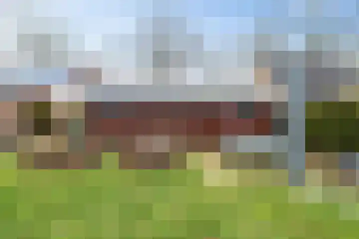 S.A. Haadsmastraat 12 Vries thumbnail 35
