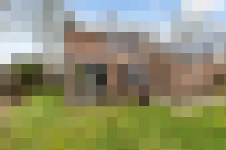 S.A. Haadsmastraat 12 Vries thumbnail 36