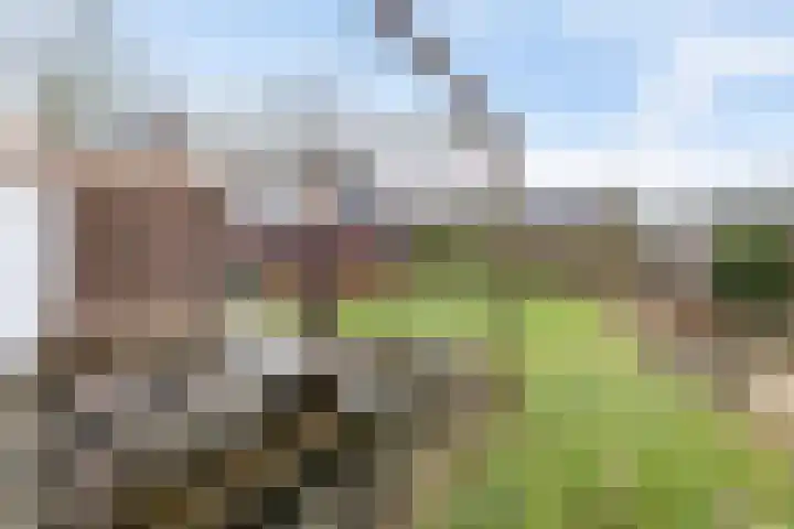 S.A. Haadsmastraat 12 Vries thumbnail 37
