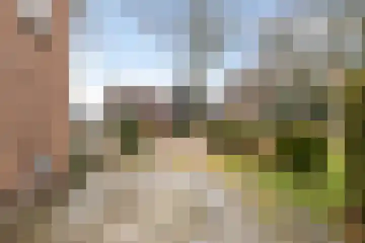 S.A. Haadsmastraat 12 Vries thumbnail 7