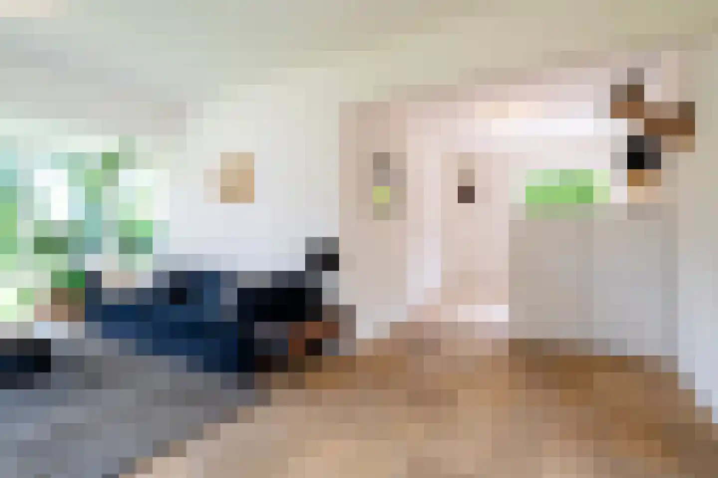 S.A. Haadsmastraat 4 Vries thumbnail 16
