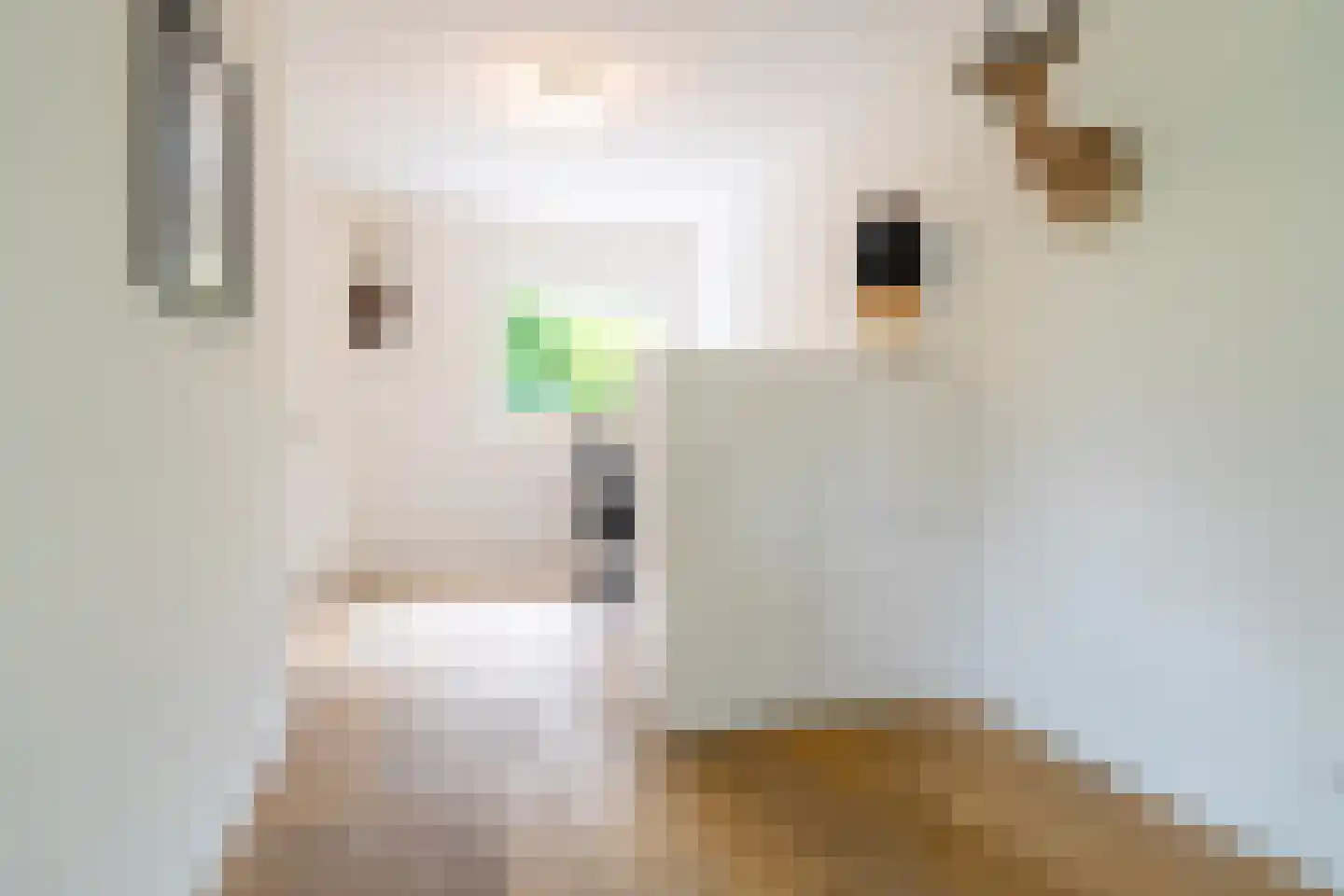 S.A. Haadsmastraat 4 Vries thumbnail 35