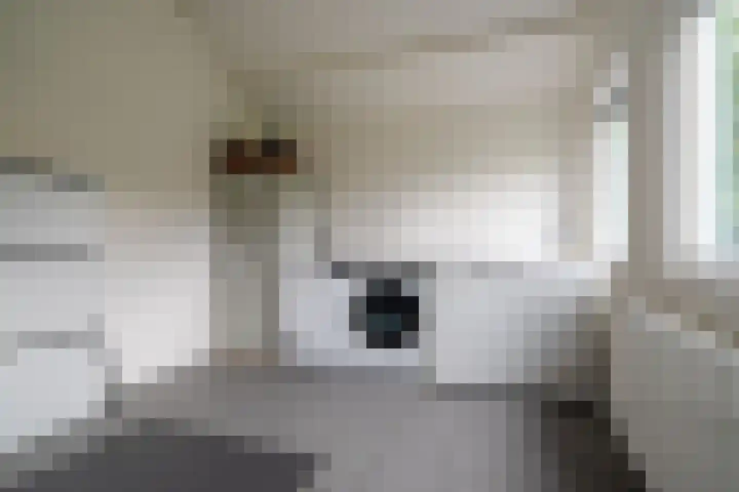 S.A. Haadsmastraat 4 Vries thumbnail 42