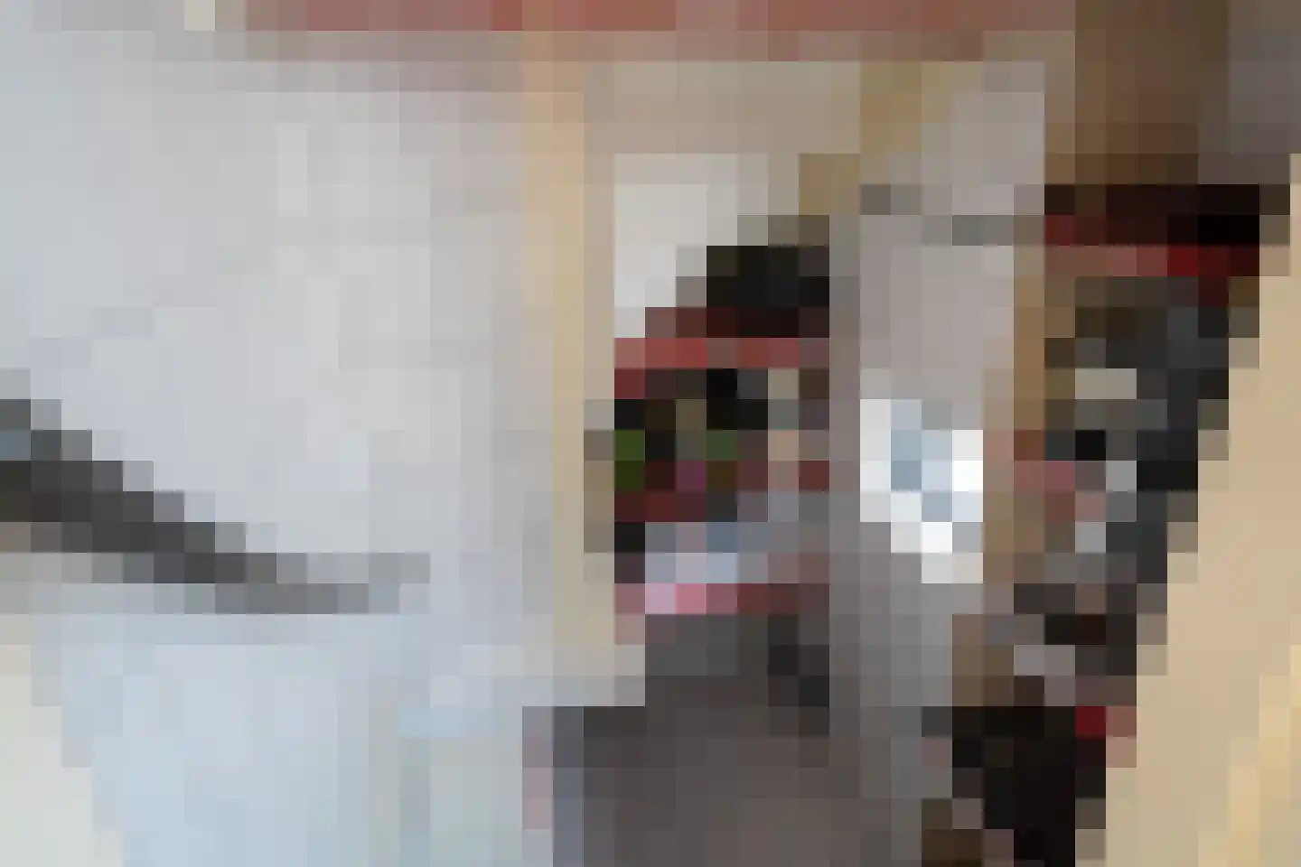 S.A. Haadsmastraat 4 Vries thumbnail 44