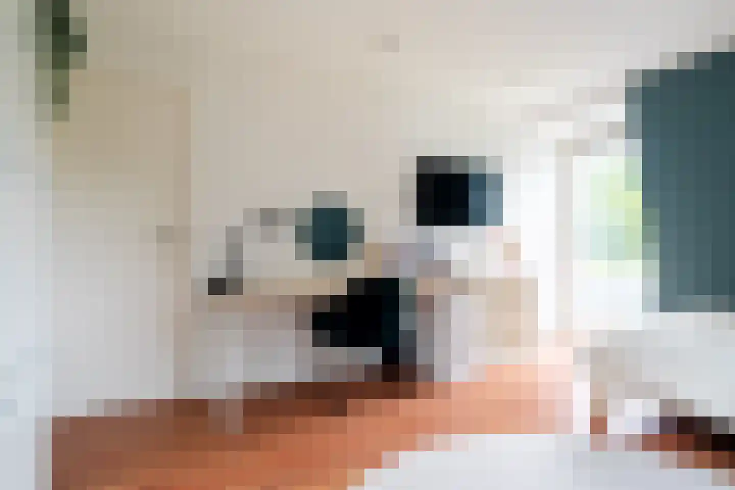 S.A. Haadsmastraat 4 Vries thumbnail 56