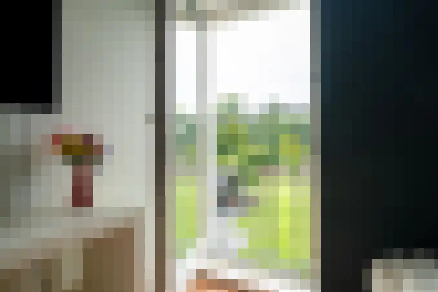 S.A. Haadsmastraat 4 Vries thumbnail 57