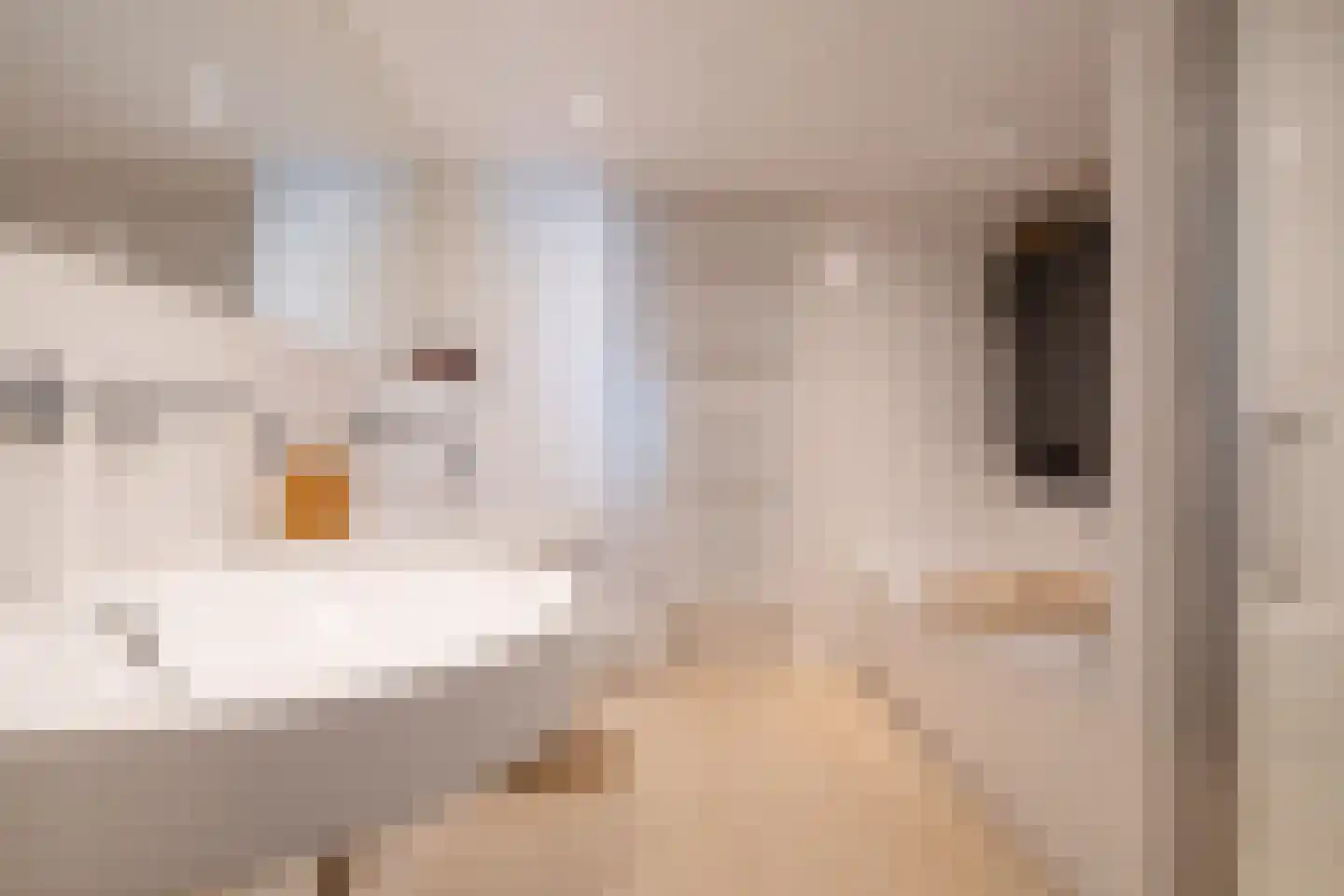 S.A. Haadsmastraat 4 Vries thumbnail 60
