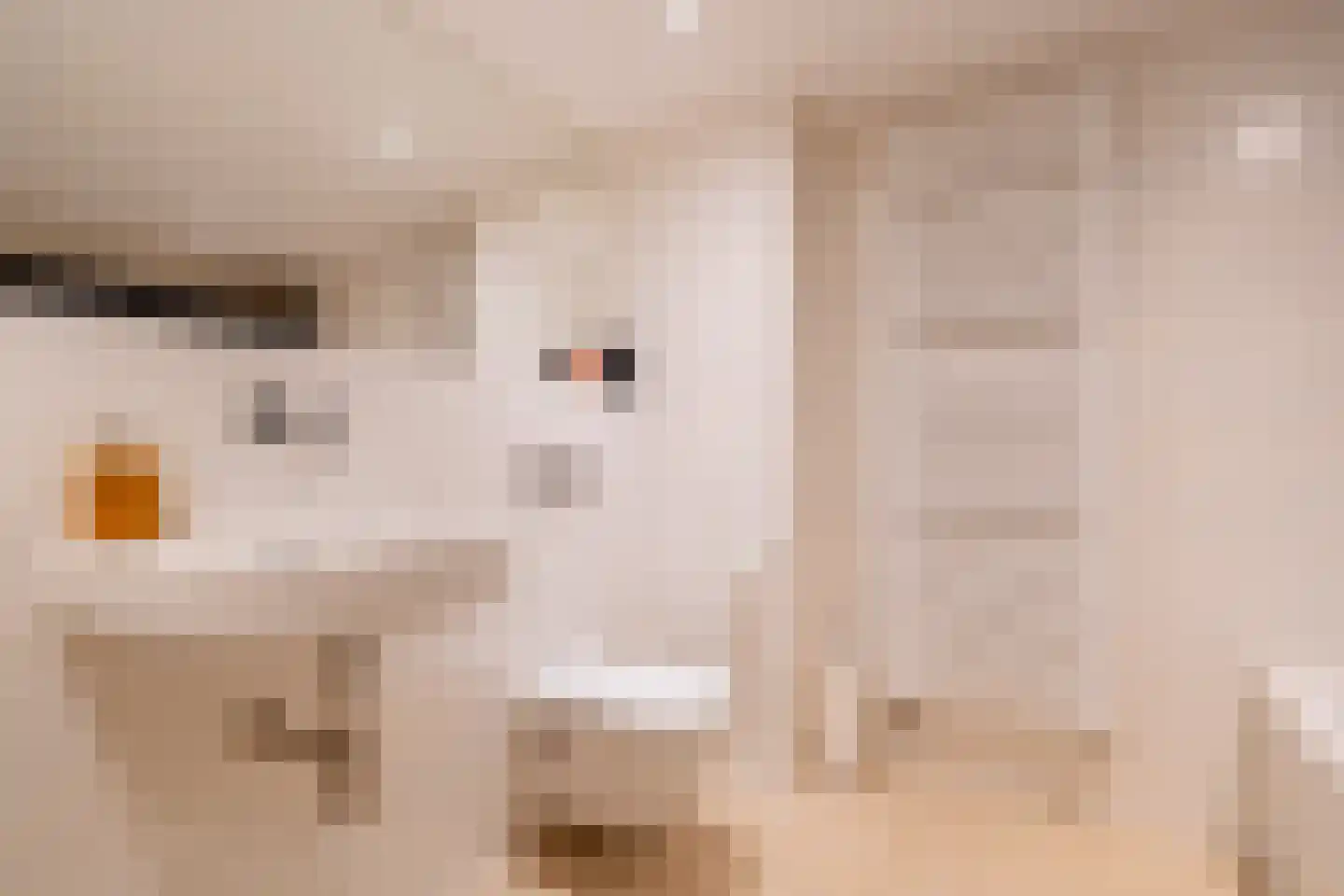 S.A. Haadsmastraat 4 Vries thumbnail 61