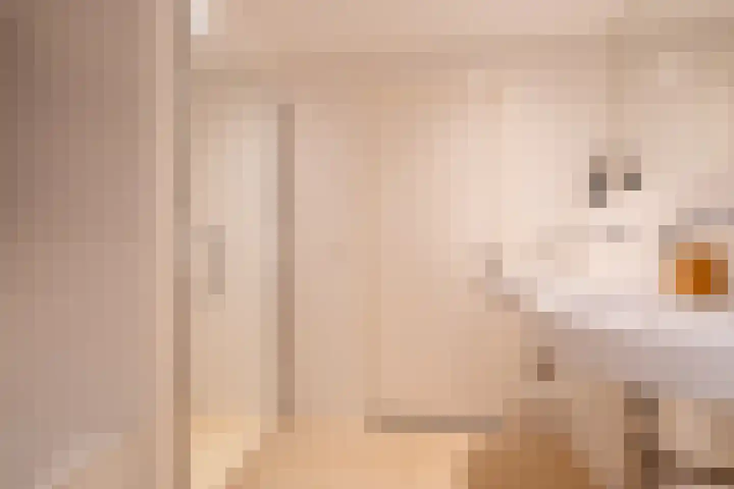 S.A. Haadsmastraat 4 Vries thumbnail 63