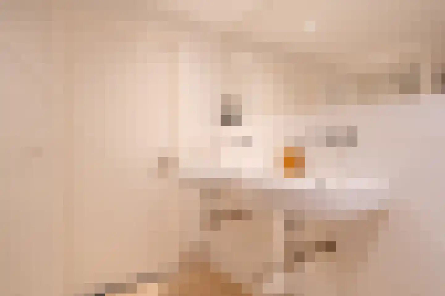 S.A. Haadsmastraat 4 Vries thumbnail 64