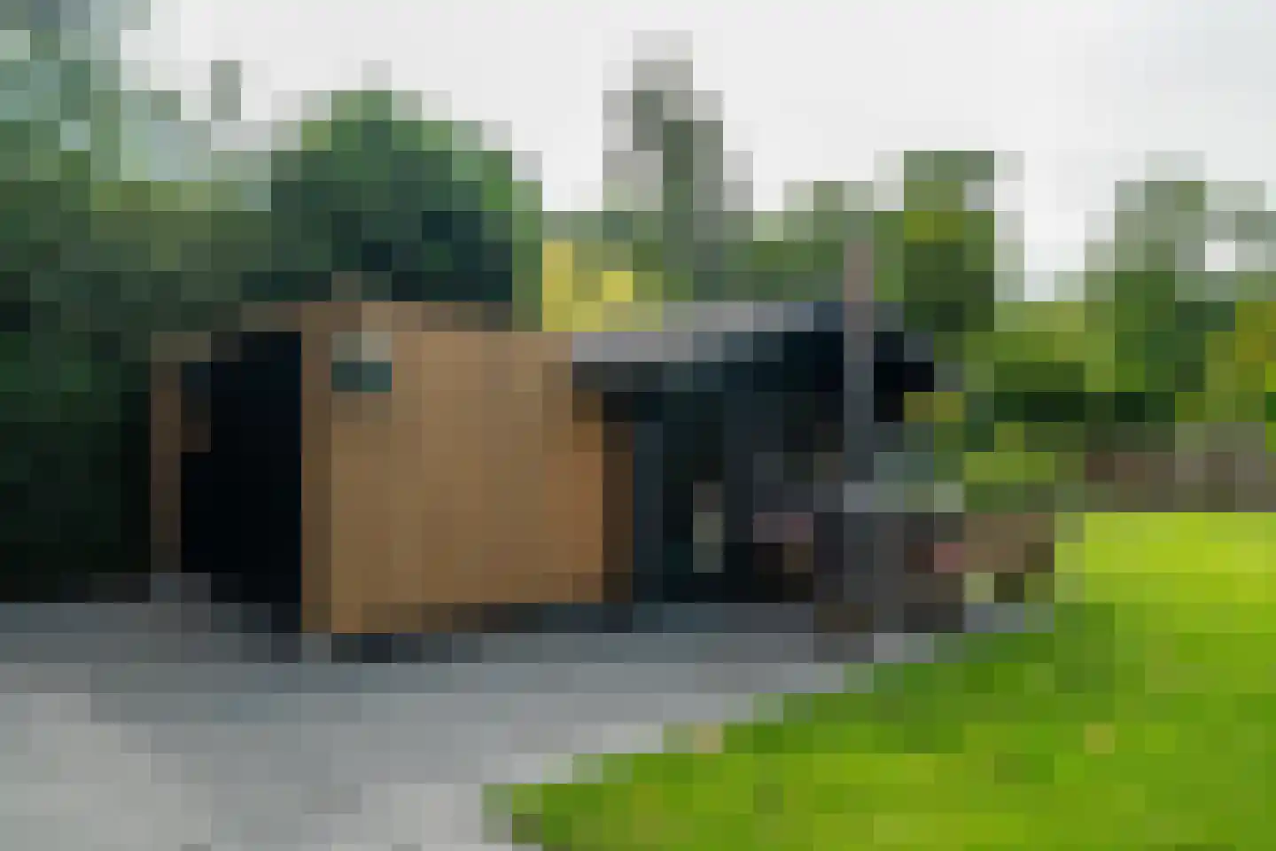 S.A. Haadsmastraat 4 Vries thumbnail 71