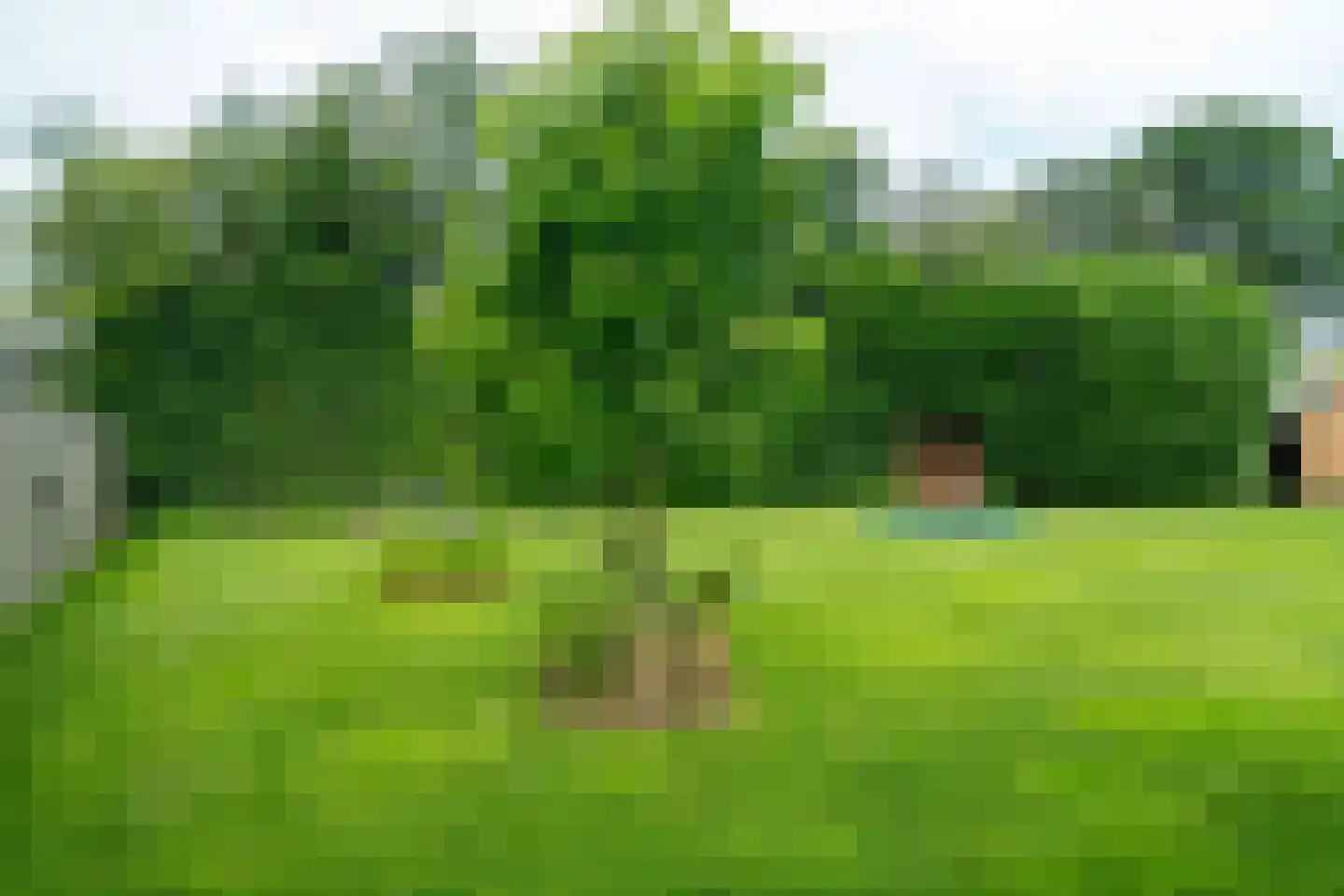 S.A. Haadsmastraat 4 Vries thumbnail 74