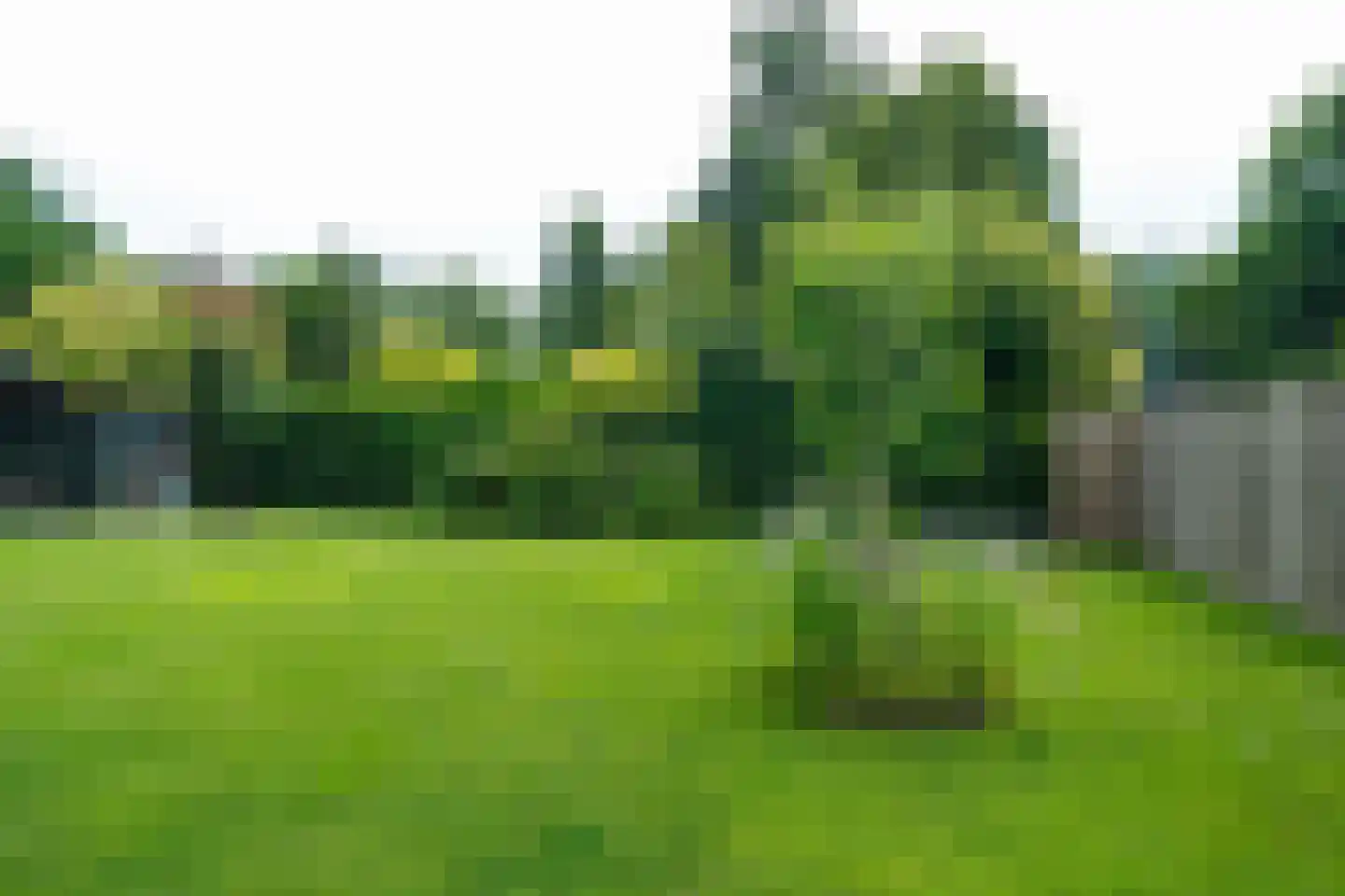 S.A. Haadsmastraat 4 Vries thumbnail 75