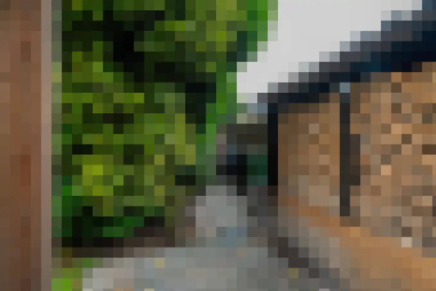 S.A. Haadsmastraat 4 Vries thumbnail 78