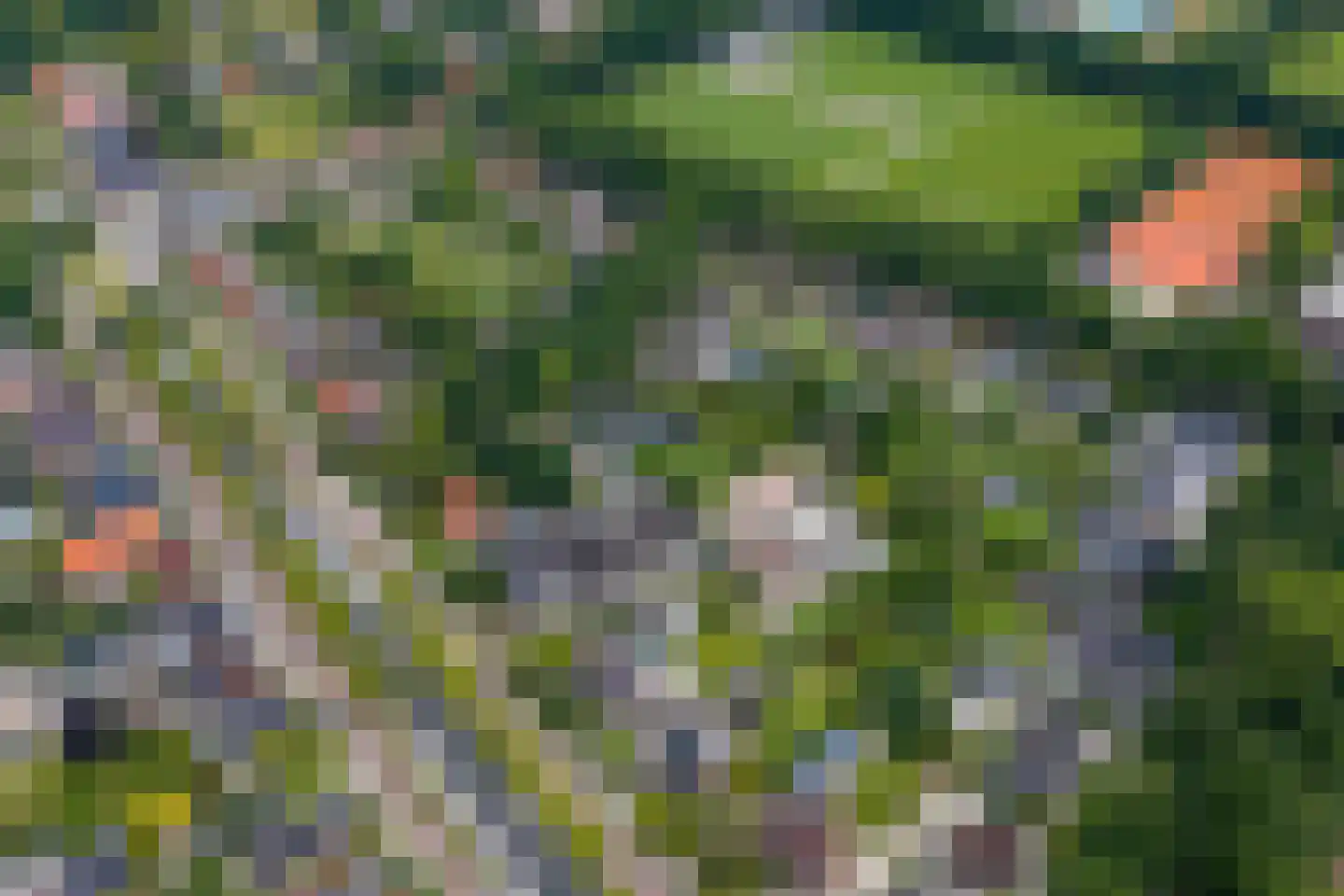 S.A. Haadsmastraat 4 Vries thumbnail 84
