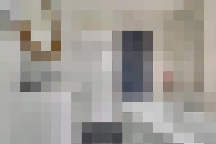 S. Abrahamsestraat 35 Meteren thumbnail 31