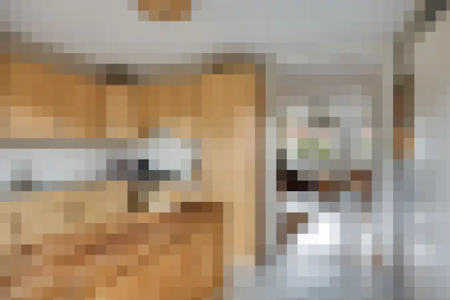 S. Abrahamsestraat 37 Meteren thumbnail 11