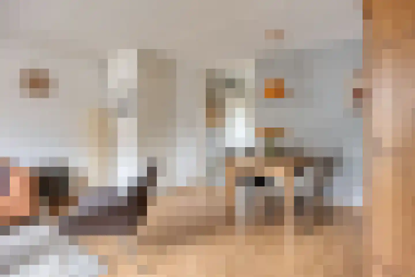S. Abrahamsestraat 37 Meteren thumbnail 4