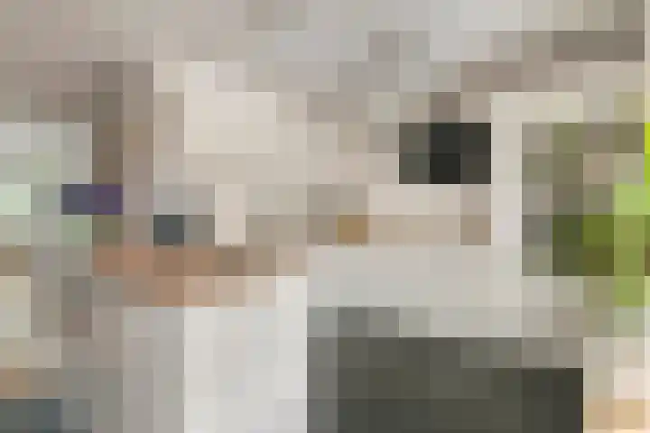S. Abrahamsestraat 4 Meteren thumbnail 12