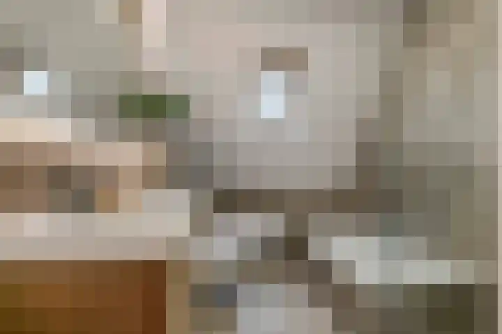 S. Abrahamsestraat 4 Meteren thumbnail 31
