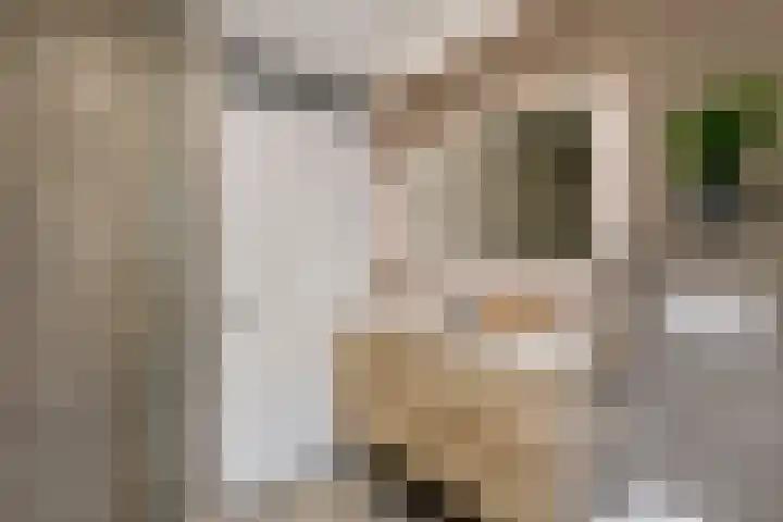 S. Abrahamsestraat 4 Meteren thumbnail 32