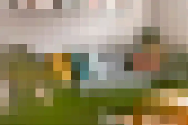 S. Abrahamsestraat 4 Meteren thumbnail 7