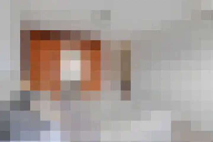 S. Abrahamsestraat 71 Meteren thumbnail 25