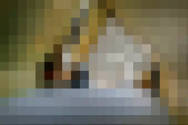 S. Abrahamsestraat 71 Meteren thumbnail 28