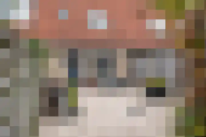 S. Abrahamsestraat 71 Meteren thumbnail 4