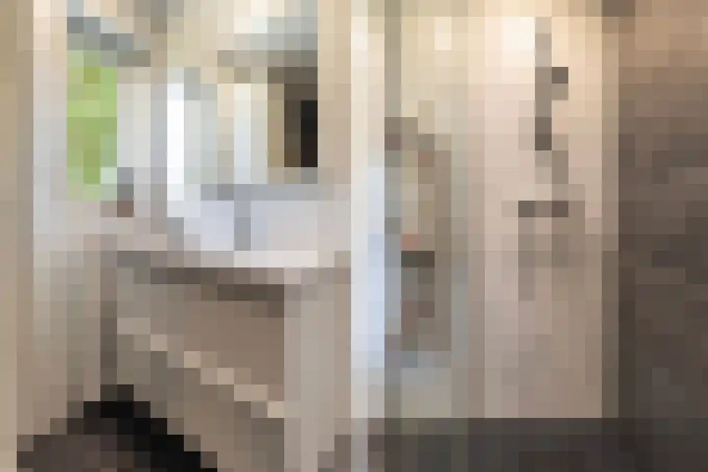 S. Antonidesstrjitte 1 Feanwâlden thumbnail 22