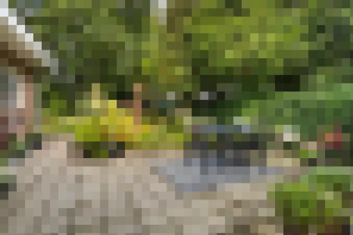 S. Antonidesstrjitte 1 Feanwâlden foto 3