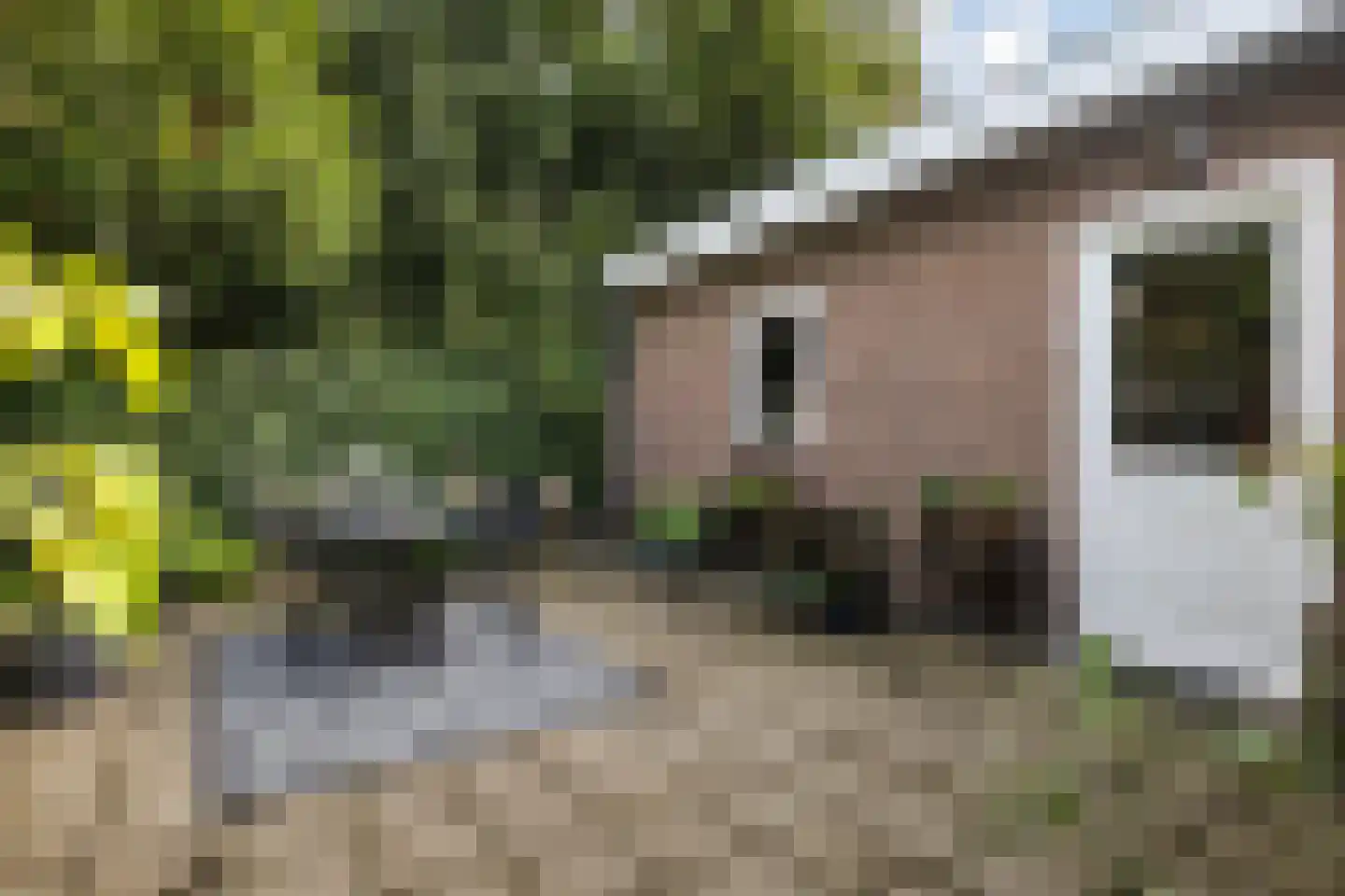 S. Antonidesstrjitte 1 Feanwâlden thumbnail 30