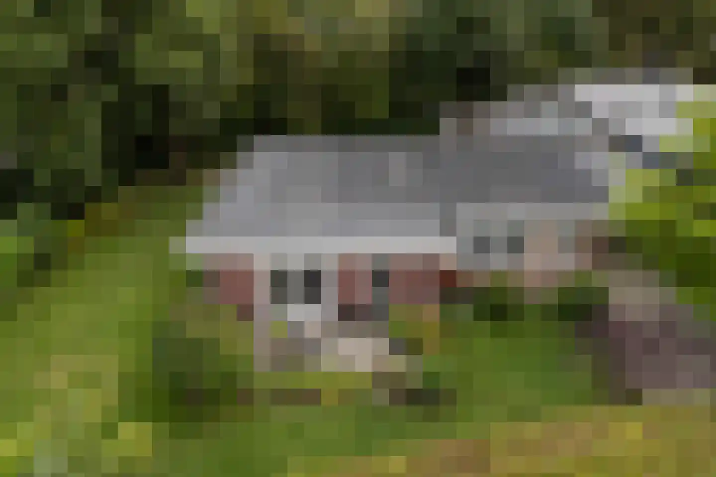 S. Antonidesstrjitte 1 Feanwâlden thumbnail 32