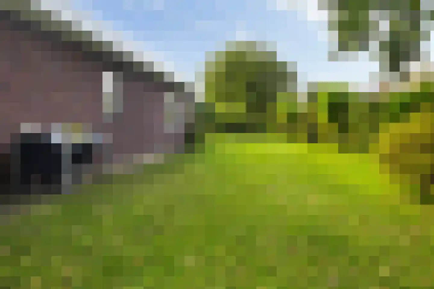 S. Antonidesstrjitte 1 Feanwâlden thumbnail 33