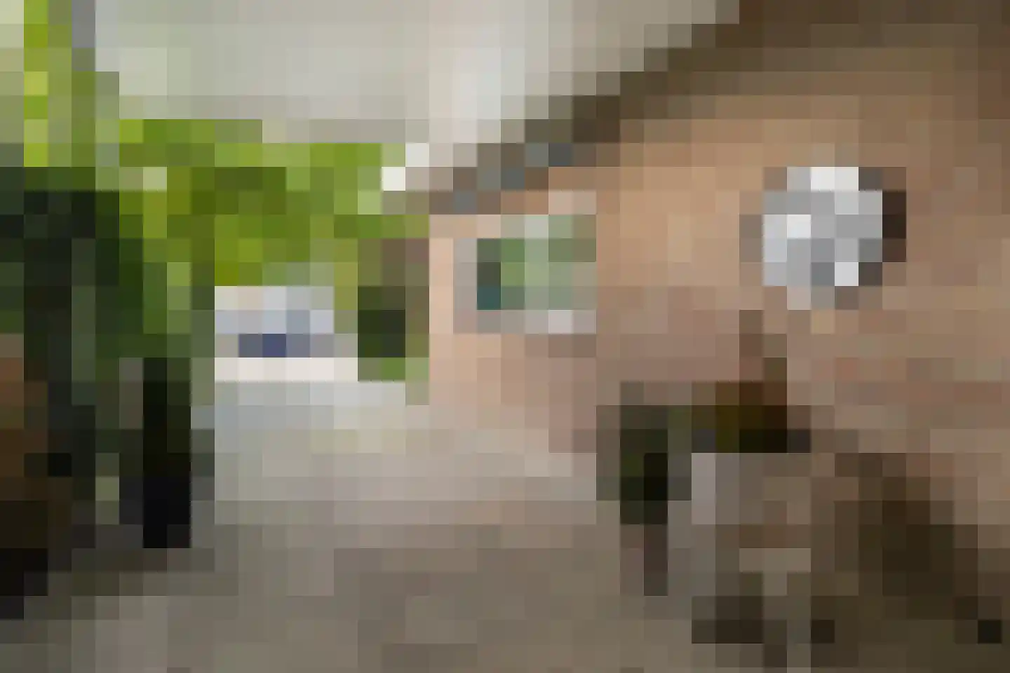 S. Antonidesstrjitte 1 Feanwâlden thumbnail 37
