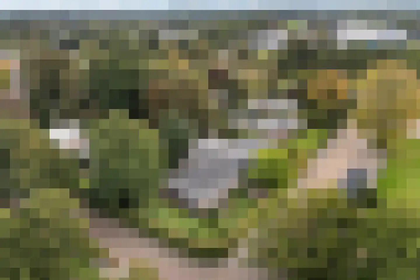 S. Antonidesstrjitte 1 Feanwâlden thumbnail 38