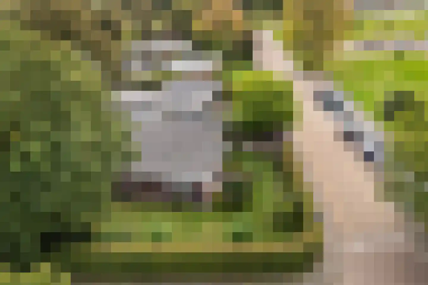 S. Antonidesstrjitte 1 Feanwâlden thumbnail 40
