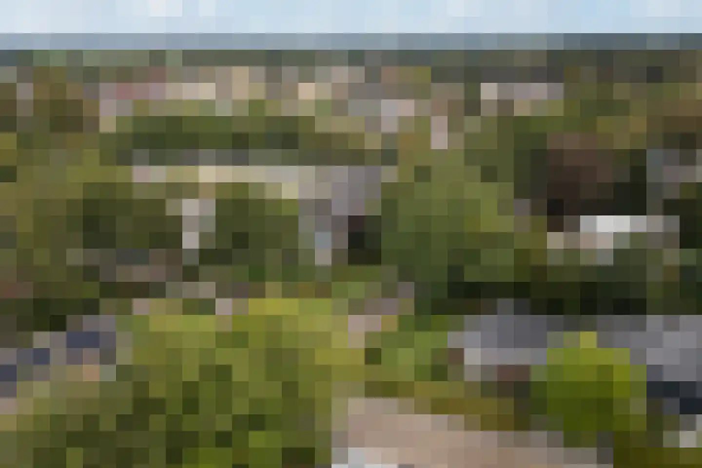 S. Antonidesstrjitte 1 Feanwâlden thumbnail 41